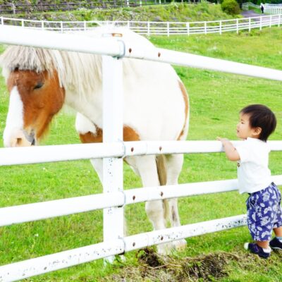 Instagram ハロー赤ちゃん探険隊 いつも赤ちゃんと一緒 Hello 赤ちゃん